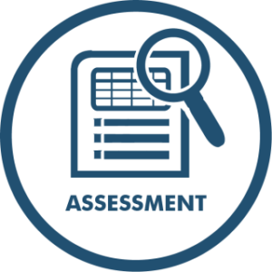 Assessment