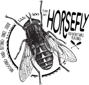 Horsefly