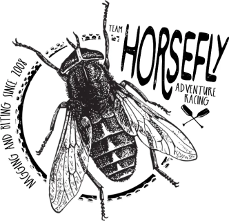 Horsefly