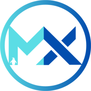 Mülakat X