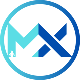 Mülakat X