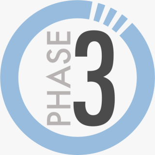 Phase 3
