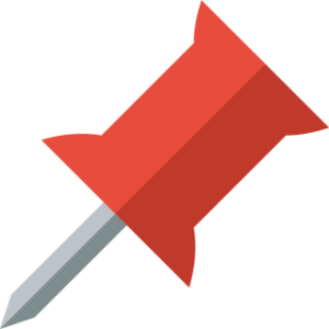 Pin