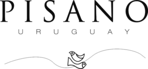 Pisano