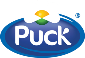 puck
