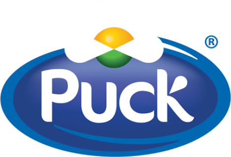 puck