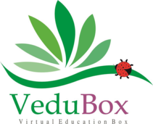 Vedubox Academy