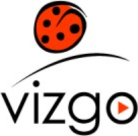 Vizgo Akademi